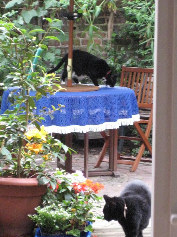 Holmewood Homestay London Zimmer foto